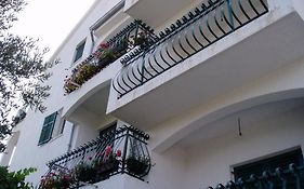 Apartments Nada
